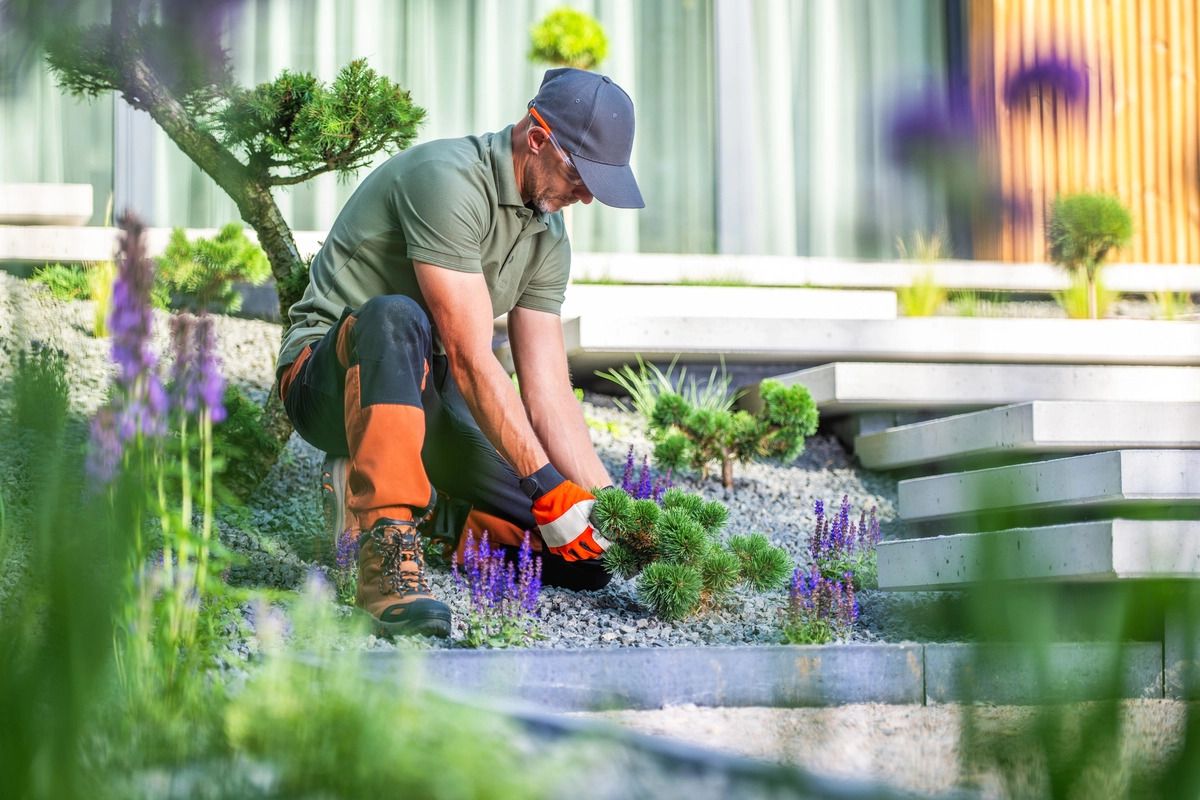 Landscaping Maintenance Tips For Long Term Beauty And Value